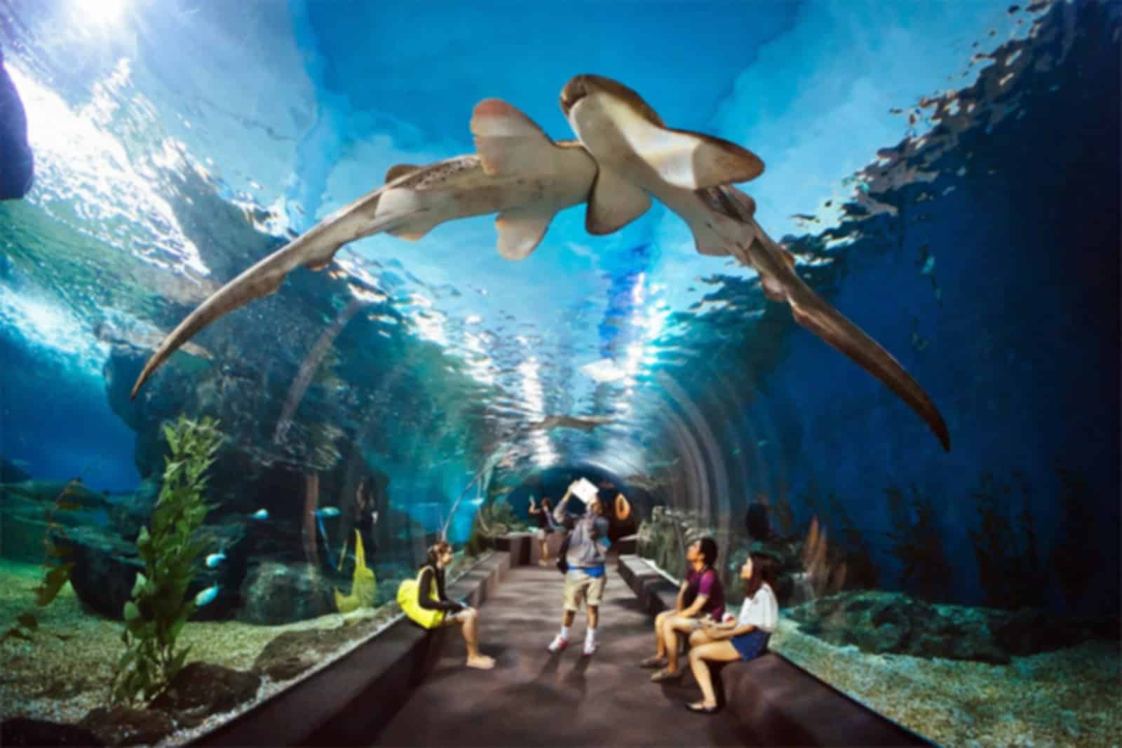 Itinerary gallery 2
